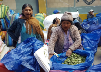 El mercado ‘paralelo’ de Villa El Carmen de La Paz reanuda la venta de coca