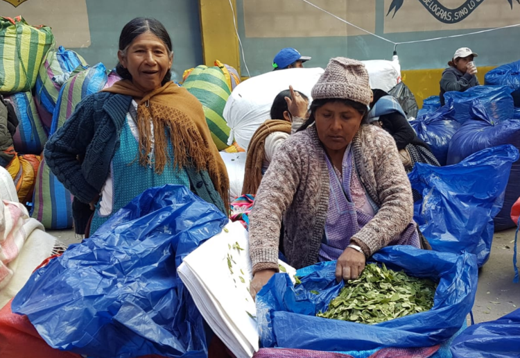 El mercado ‘paralelo’ de Villa El Carmen de La Paz reanuda la venta de coca