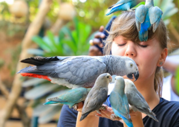 Santuario vegetal acoge aves exóticas en la capital de Sudán