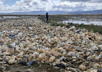 La basura no da tregua al lago Uru Uru de Oruro; la euforia ambientalista no duró