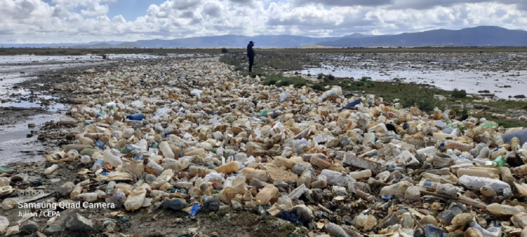 La basura no da tregua al lago Uru Uru de Oruro; la euforia ambientalista no duró