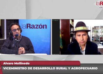 Gobierno destina Bs 760 MM para subvencionar semillas y fertilizantes para la producción de papa
