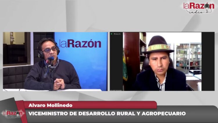 Gobierno destina Bs 760 MM para subvencionar semillas y fertilizantes para la producción de papa
