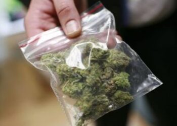 Corte Suprema de México flexibiliza criterio sobre posesión de marihuana para uso personal