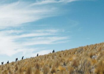 Bolivia, su cine