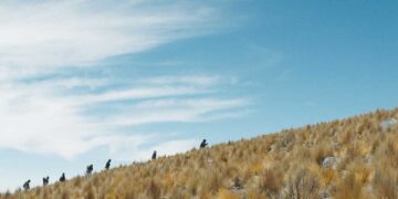 Bolivia, su cine
