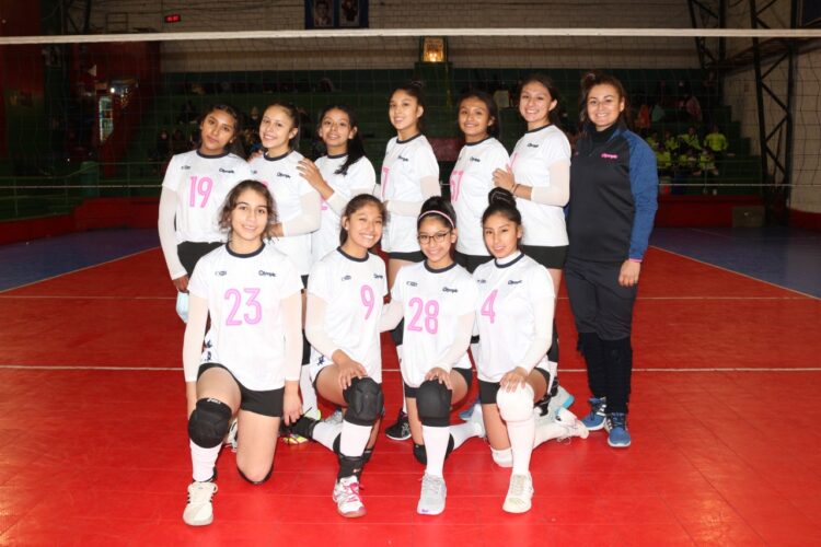 Olympic se corona campeón de voleibol