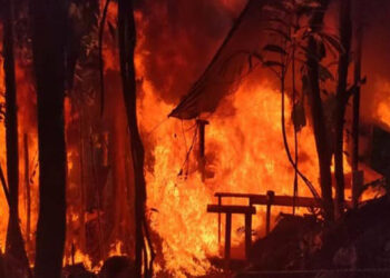 Destruyen laboratorio de cristalización de cocaína en el Parque Nacional Carrasco