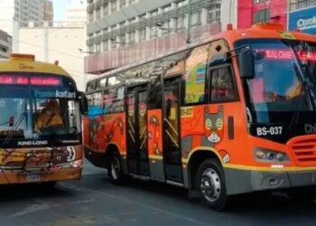 Alcaldía dispone de 147 buses PumaKatari y ChikiTiti para regularizar frecuencias