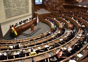 Choquehuanca convoca a sesión para retomar la elección del Defensor del Pueblo en la Asamblea