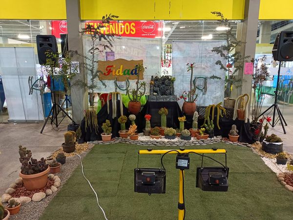 La Feria Internacional de Arte Decorativo concluye este sábado