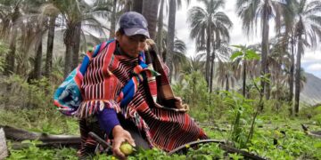 Janchicoco, patrimonio alimentario boliviano
