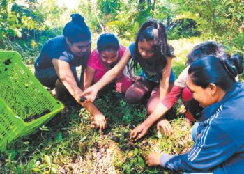 Mujeres, el nexo de los sistemas alimentarios