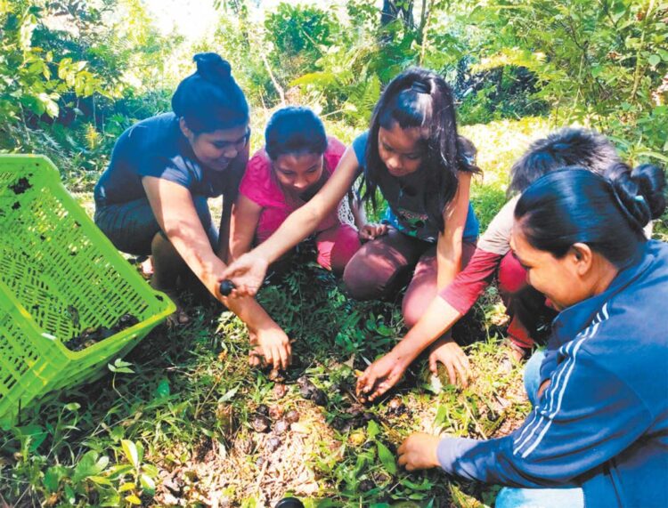 Mujeres, el nexo de los sistemas alimentarios