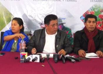 El Gobierno sobre la marcha de Adepcoca: ‘Es un sector de los Yungas de La Paz’