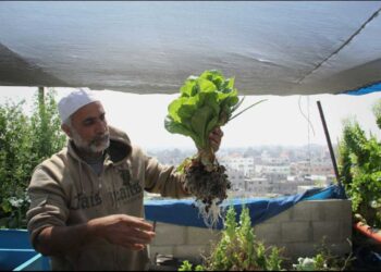 Grandes productores agrícolas prometen seguridad alimentaria pese a guerra en Ucrania