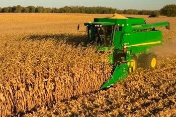 Ante escasez, Gobierno exige a agroindustriales ‘soltar’ el maíz de sus silos o ‘atenerse a las consecuencias’