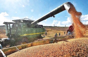 EMAPA inició la siembra de 4.000 hectáreas de maíz en San Pablo de Guarayos