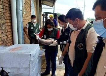 Aduana Nacional y Senasag comisaron 16 toneladas de pescado
