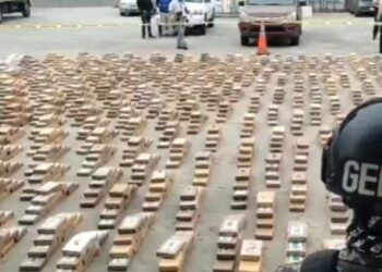 Ecuador decomisa 8,2 toneladas de cocaína que tenían por destino Europa