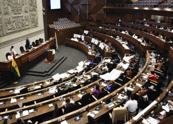El MAS se apresta a elegir al Defensor del Pueblo, CC y Creemos anuncian voto opuesto al oficialismo