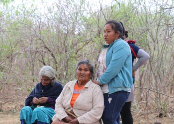 Abuela, madre y nietas del pueblo Guaraní. Foto: Ministerio de Trabajo.