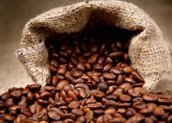 Colombia produjo 12,6 millones de sacos de café en 2021, la menor cosecha en siete años