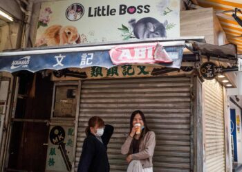 Hong Kong sacrificará hámsters tras detectar casos de COVID-19 en mascotas