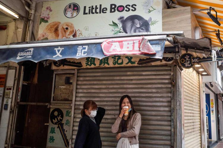 Hong Kong sacrificará hámsters tras detectar casos de COVID-19 en mascotas