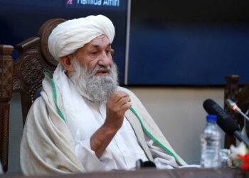 Talibanes llaman a los países musulmanes a reconocer al gobierno afgano