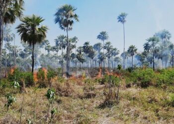 Declaran Alerta Naranja Departamental en Santa Cruz a raíz del incremento de incendios forestales