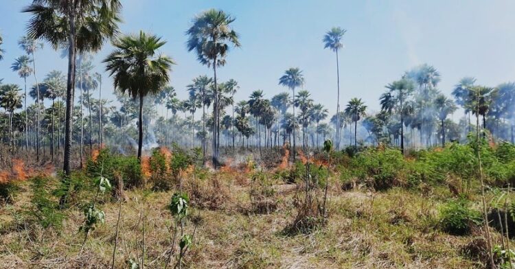 Declaran Alerta Naranja Departamental en Santa Cruz a raíz del incremento de incendios forestales