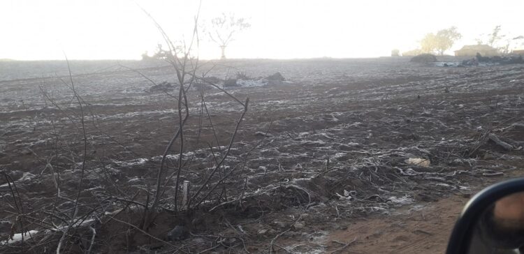 Heladas afectan la producción en el altiplano. Foto: Redes Sociales