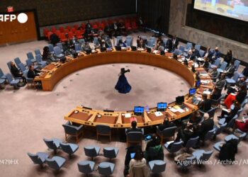 Consejo de Seguridad de la ONU en reunión de emergencia el lunes sobre crisis humanitaria en Ucrania
