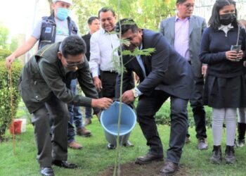 Autoridades promueven la campaña de reforestación. Foto: Ministerio de Educación
