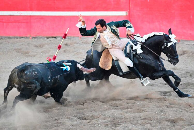 Sin sangre: Lusos adaptan a California su tradicional corrida de toros
