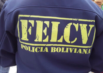 Una madre mató a sus dos hijos y trató de quitarse la vida en El Alto
