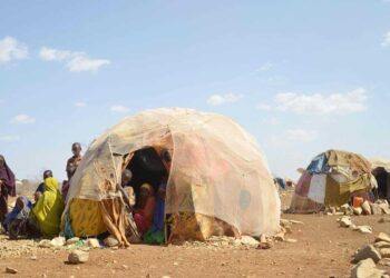Trece millones de personas en peligro de hambruna en el Cuerno de África