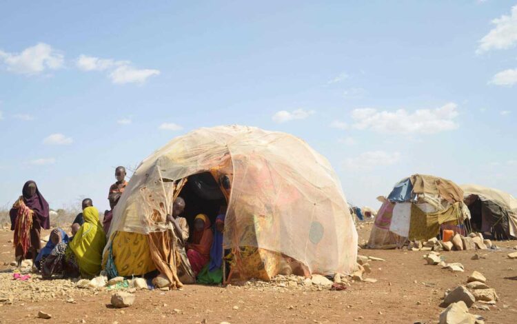 Trece millones de personas en peligro de hambruna en el Cuerno de África
