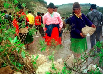 Indígenas y afros en Quito exigen a la COP27 ‘acciones concretas’ para salvar el planeta