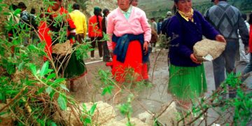 Indígenas y afros en Quito exigen a la COP27 ‘acciones concretas’ para salvar el planeta