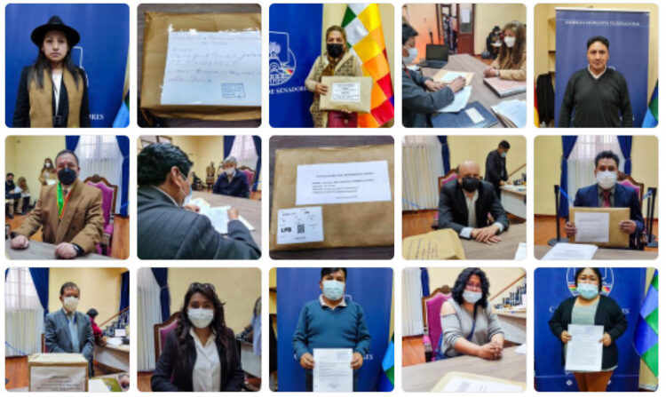 Defensor del Pueblo: 198 candidatos, un exvocal del TSE, el ‘chasqui’, un dirigente vecinal y un exministro