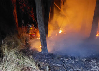 Fuego en el Bosquecillo es sofocado tras 4 horas; presumen su inicio por quema de llantas