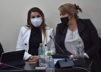 Gobierno dice que NNUU exageró y que juicio de Jeanine Áñez respetó el debido proceso