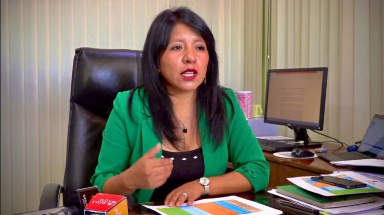 El MAS presenta proyecto para elegir al Defensor del Pueblo y descarta ‘tener candidatos’