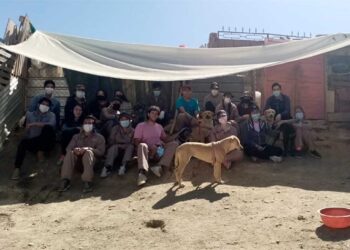 Hocicos del Mundo; una nueva camada de voluntarios animalistas