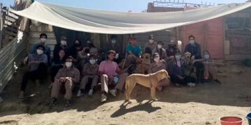 Hocicos del Mundo; una nueva camada de voluntarios animalistas