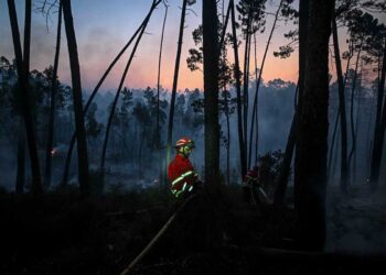 Controlados los incendios en Portugal pero la situación es ‘grave’