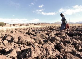Congreso trata el cambio climático y explora estrategias hacia un futuro sostenible