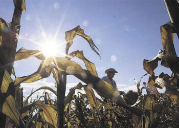Gobierno analiza uso de biotecnología tras pedido de Anapo hace un mes
